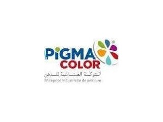 Pigma Color