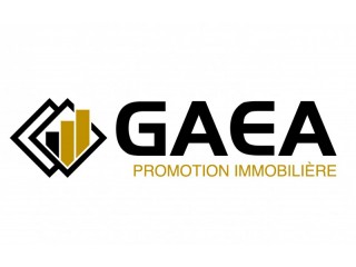Logo Gaea Promotion