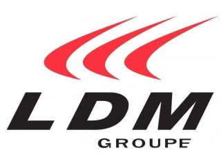 Logo LDM Groupe