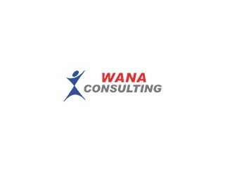 Logo Wana Consulting