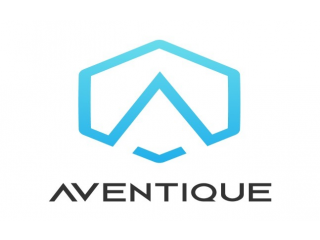 Logo Aventique