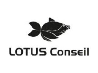 Logo LOTUS CONSEIL